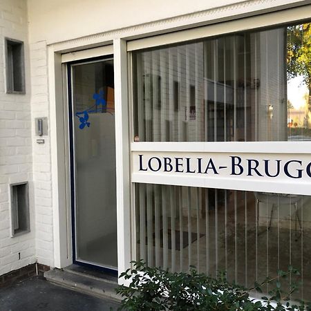 B&B Lobelia-Brugge Eksteriør bilde