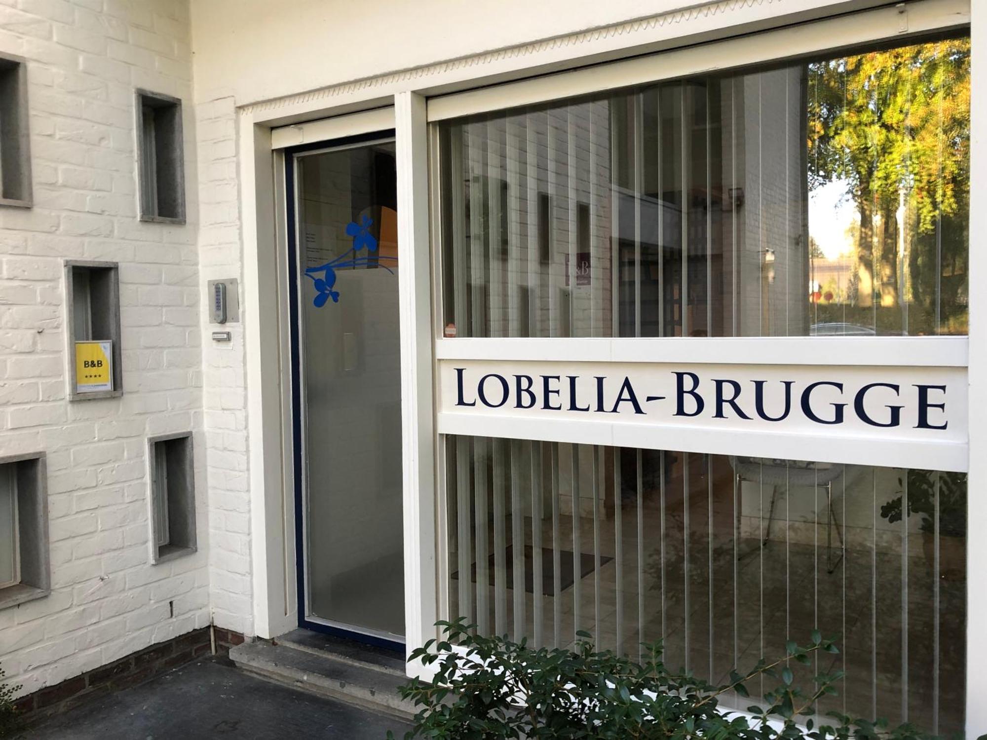 B&B Lobelia-Brugge Eksteriør bilde
